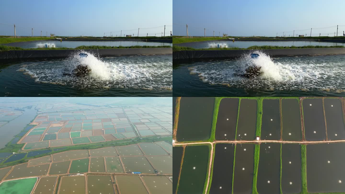 海產品養殖基地打氧機增氧泵_3840X2160_高清視頻素材下載(編號:9145647)_實拍視頻_光廠(VJ師網) www.vjshi.com