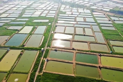 山東工行:優化金融服務 助力春耕備耕