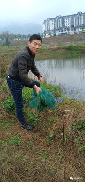 洞庭湖畔 蝦苗日賺超過千元,又是一年養蝦時