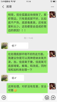 推廣丨蝦苗長期爬邊不下池成功處理方案