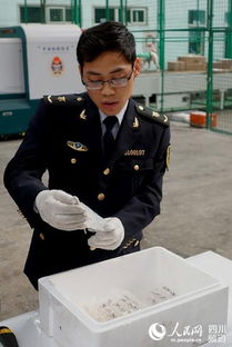 四川郵檢口岸首次查獲郵寄活體蝦苗 圖