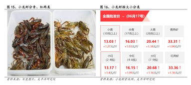 安井 國聯水產 5家企業入局,誰是a股小龍蝦之王