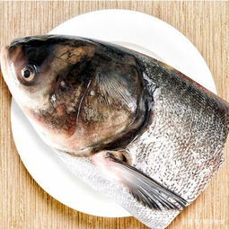 白鰱和花鰱一字之差傻傻分不清 最像的兩條魚,身價差的不止一點