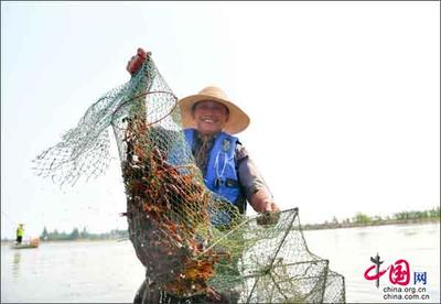 【美麗中國長江行】湖南南縣生態(tài)農(nóng)業(yè)見成效小龍蝦做出大市場
