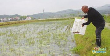 村莊凈 產(chǎn)業(yè)旺 文化興 吉安縣里田鎮(zhèn)實施脫貧攻堅記事