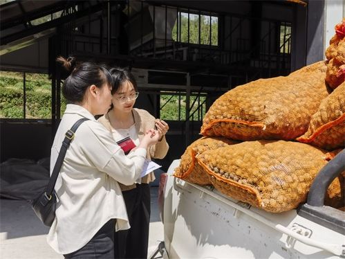 重慶 助推鄉(xiāng)村振興戰(zhàn)略全面落實