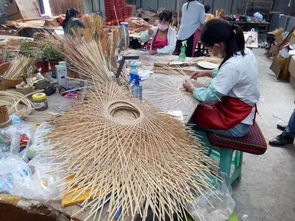 2019科考隊前站隊員19日行程