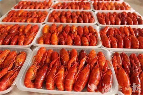 強產業提質量壯品牌,我省多措并舉支持農產品出口