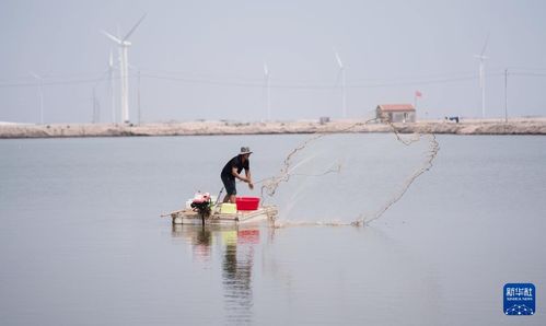 河北黃驊 水產養殖拓寬漁民增收致富渠道鳳凰網河北 鳳凰網