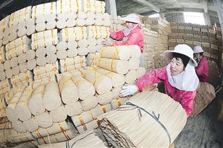 建甌 竹制品加工廠的員工忙于打包新產品