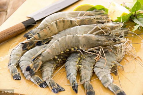 這蝦廣鹽性 養(yǎng)殖周期短 個體大 營養(yǎng)豐富 成蝦產(chǎn)量高