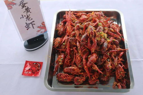 稻蝦共養 生態農業的綠色盛宴